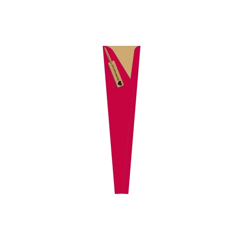 CONE A ROSE 60X40X05CM Fantaisie les 25P