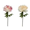 FLEUR PIVOINE à la tige 050 H135CM