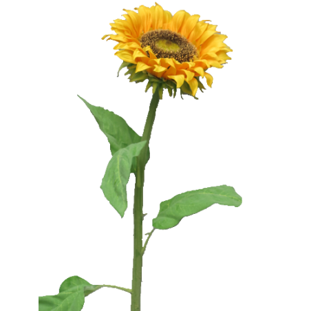 FLEUR SUNFLOWER TUSCANY H77CM piece
