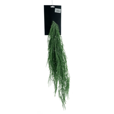 FLEUR SENECIO H65CM piece