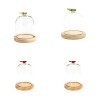 VERRE CLOCHE PAPILLON 010 H12CM les 6P