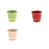C.POT TULIPE 010.5CM H08.8CM les 9P