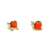 ANIMAL avec MAISON FRUIT les 2P