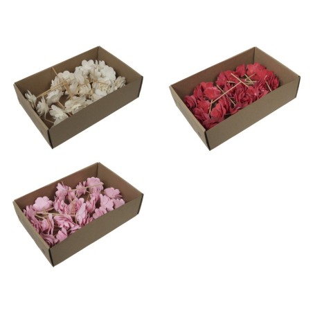 ROSE BOIS O6CM LES 23 P
