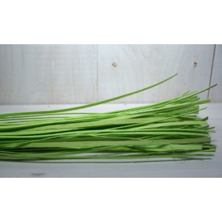ROTIN PLAT 06mm en  FAGOT 110CM 