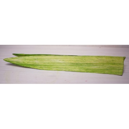 PETALE 'LILY" H25CM sac de 50 pièces
