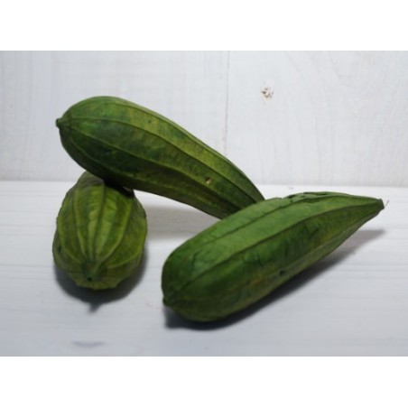 FAGOT MINI FRUIT 8/12CM /10P