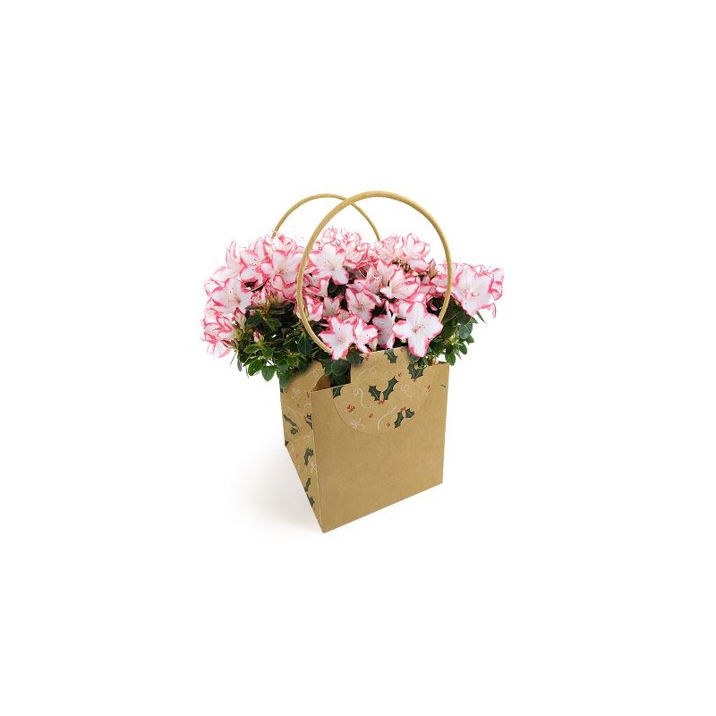 SAC EVIDENCE FANTAISIE MEDIUM /10P