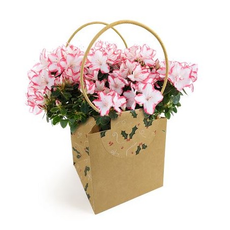 SAC EVIDENCE FANTAISIE MEDIUM /10P