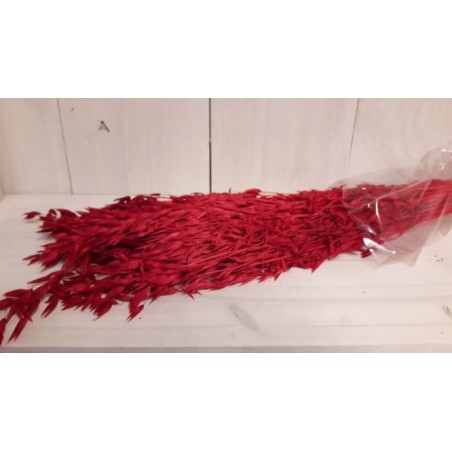 AVOINE COULEUR SAC 150gr