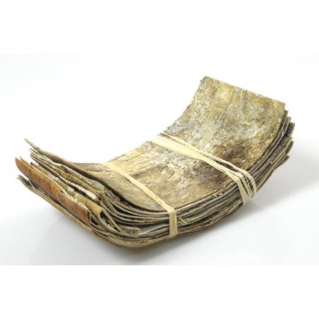 ECORCE DE BOULEAU 50X20CM /5P