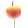 POMME SUR PIQUE 60MM / 25 PIECES