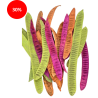 SECHE STEP FRUIT assortiment 20P