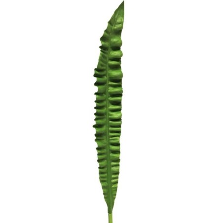 FEUILLE PHYLLITIS 93CM à la pièce