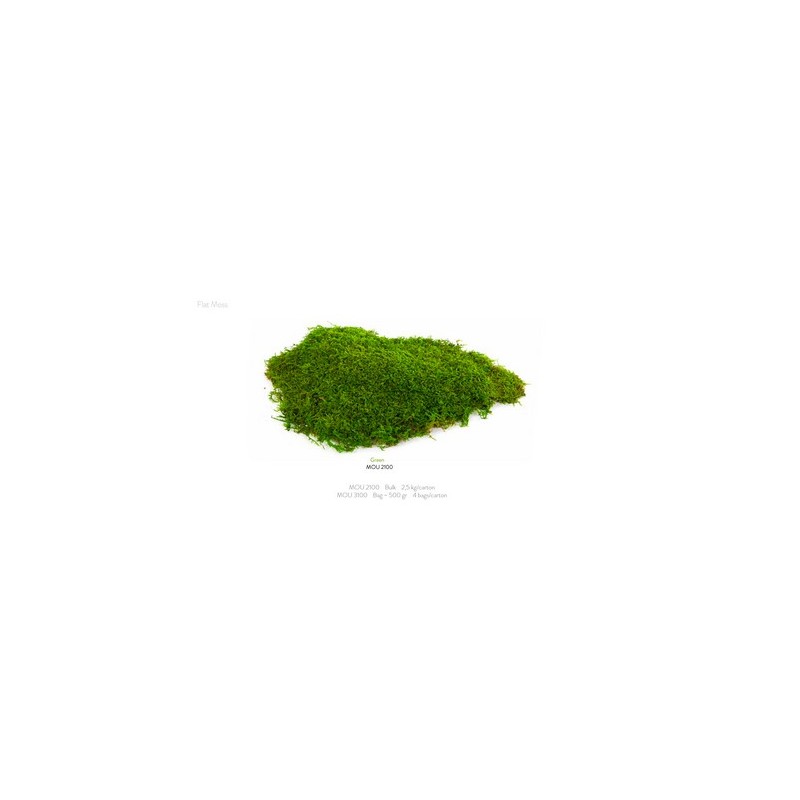 VERDISSIMO-MOUSSE PLATE VERTE sachet 500gr
