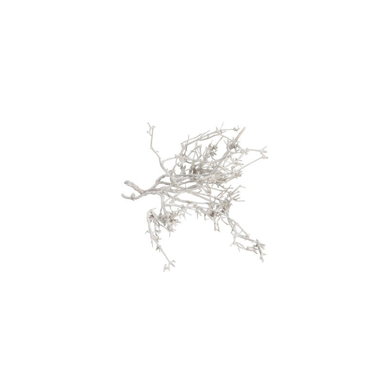 BRANCHAGE SEC BLANCHI 250gr