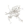 BRANCHAGE SEC BLANCHI 250gr