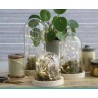 VERRE CLOCHE SUR PLATEAU BOIS Diam.10 H18CM/1P