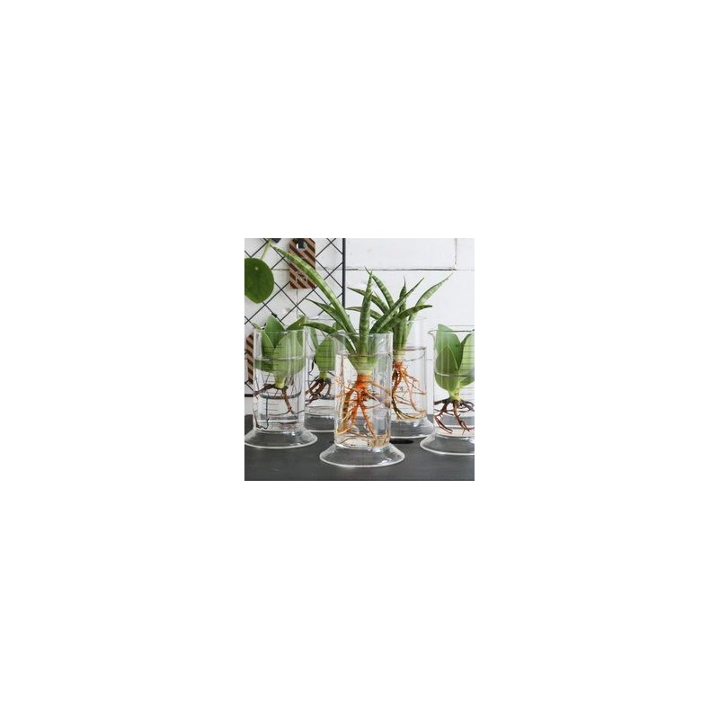 VERRE TUBE LABORATOIRE H11CM /6P