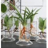 VERRE TUBE LABORATOIRE H11CM /6P