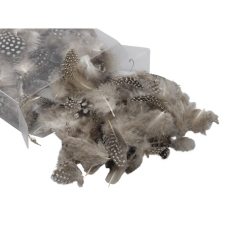 PLUME SAC 3gr SAC