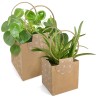 SAC EVIDENCE NATUREL XLARGE / 10P