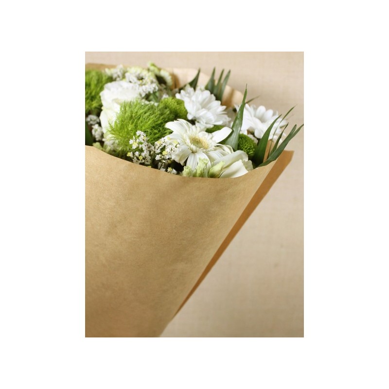 CONE KRAFT NATUREL BIO 50X44X12CM  / 50P