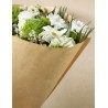 CONE KRAFT NATUREL BIO 50X44X12CM  / 50P
