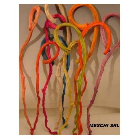 BRANCHE DE BANANE blanchie /5P