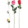 FLEUR ROSE TIGE 65CM ASSORT.les 36P
