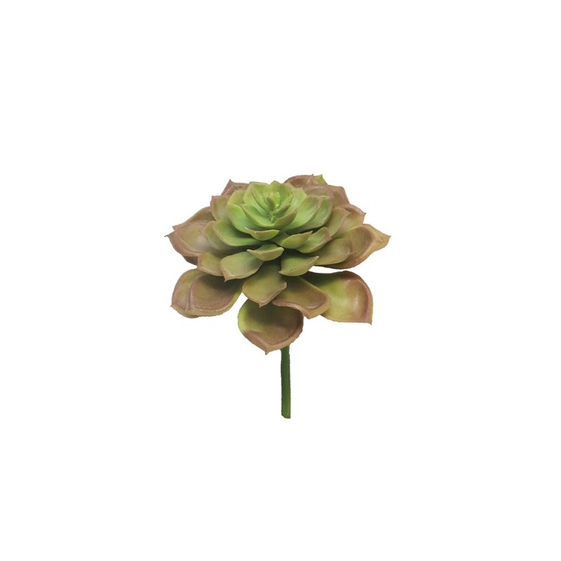 FLEUR EUCHEVERIA GOURIN ROSE 17CM la pièce