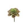 FLEUR EUCHEVERIA GOURIN ROSE 17CM la pièce