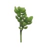 FLEUR SUCCULENT RHODA VERT 14CM à la pièce