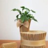MANCHETTE CACHE-POT KRAFT 145CM les 20M