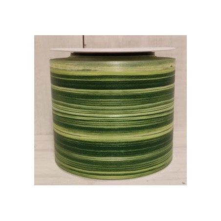 RUBAN ASPIDISTRA 103 X 50M
