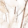 SEC FLEUR LUNARIA NATUREL les 10P