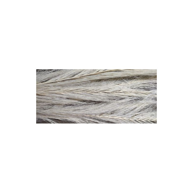 DATE JHAT BLANC SAC 5P