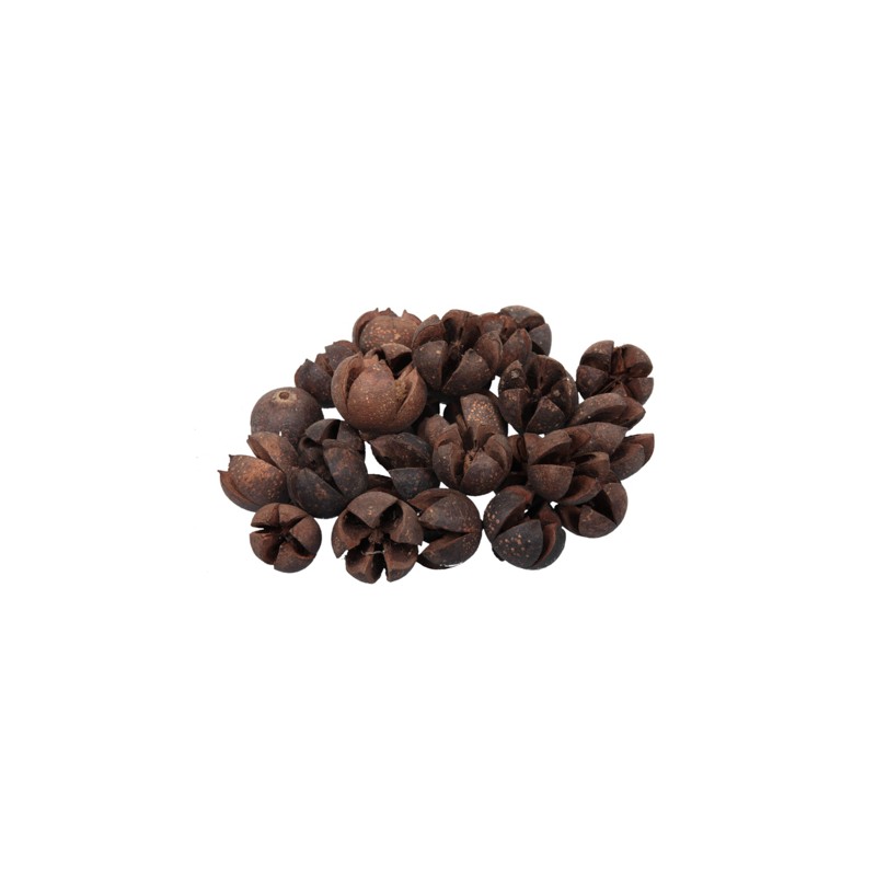 FRUIT SEC CHILERRY les 500GR