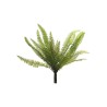 FEUILLE FOUGERE NEPHROLEPSIS H40CM la pièce