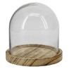 VERRE CLOCHE SUR PLATEAU BOIS Diam.10 H10CM les 6P