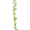 FEUILLE TRADESCATIA VERT/CREME guirlande 170CM /1P