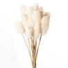JHAMMA SUR TIGE BLANCHE 10-20CM /10P