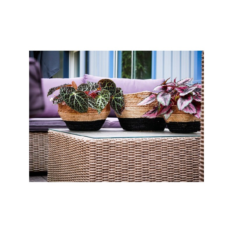JARDINIERE ANSE 0037 à 027CM SET 3P