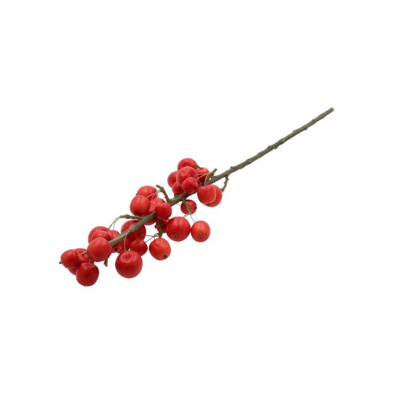 BRANCHE POMME SENTINELLE ROUGE /1P