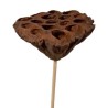 FLEUR DE LOTUS SUR PIQUE 07-10CM les 24P