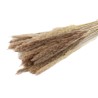HERBE FEUILLE DE LA PAMPA NATUREL les 70GR