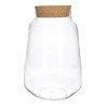 VERRE TERRARIUM + BOUCHON H24.3CM /1P