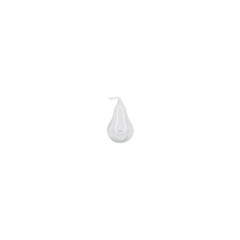 VERRE POIRE avec TROU 019 H31CM la pièce