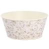 ZINC-COUPE LUNARIA BEIGE 020 H09CM les 8P