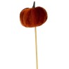 CITROUILLE ORANGE SUR PIQUE les 12P